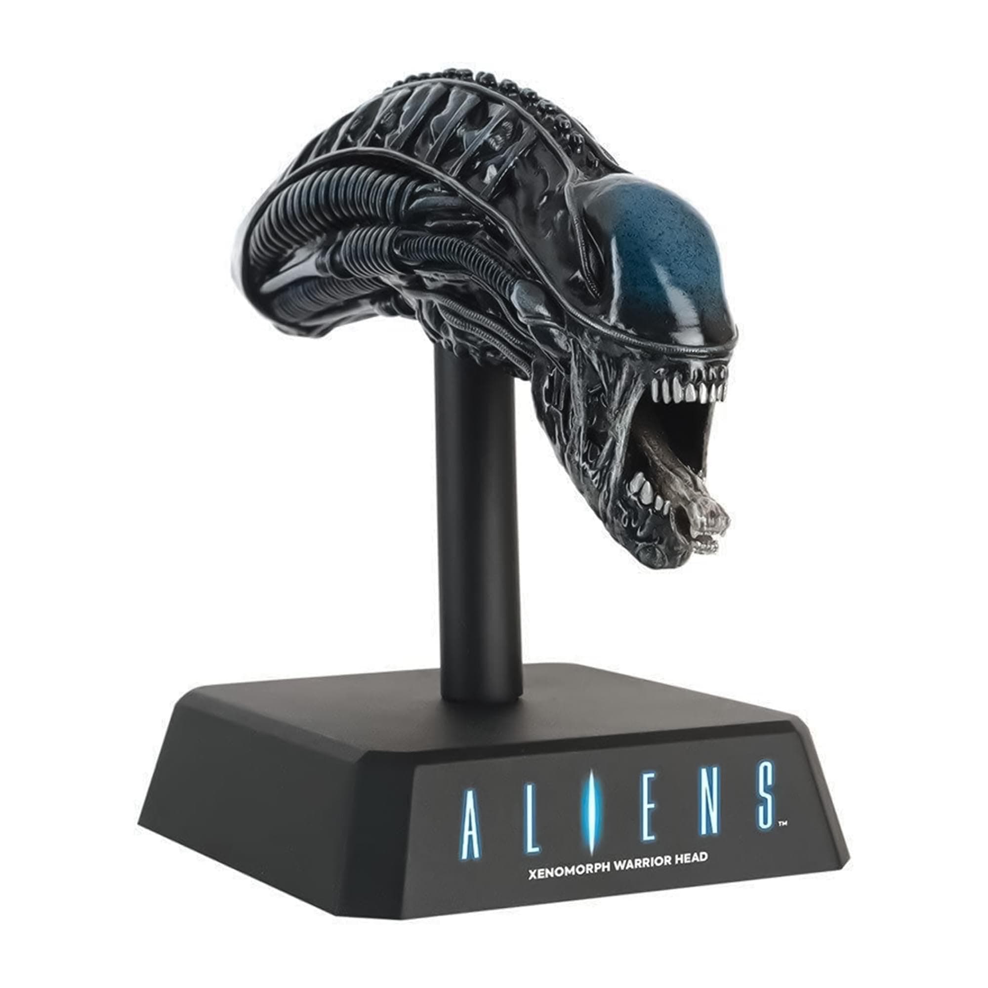 Eaglemoss Alien: Xenomorph Head Prop Replica | Alien & Predator Movie Museum | Model Replica