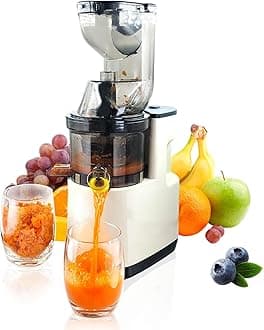 Cold Press Juicer Machines Slow Masticating Juice Extractor with Wide Feed Chute,High Yield Juice Maker for Fruit & Vegetable,Can make fruit ice cream - Easy to Clean Quiet Machine Extractor de Jugos