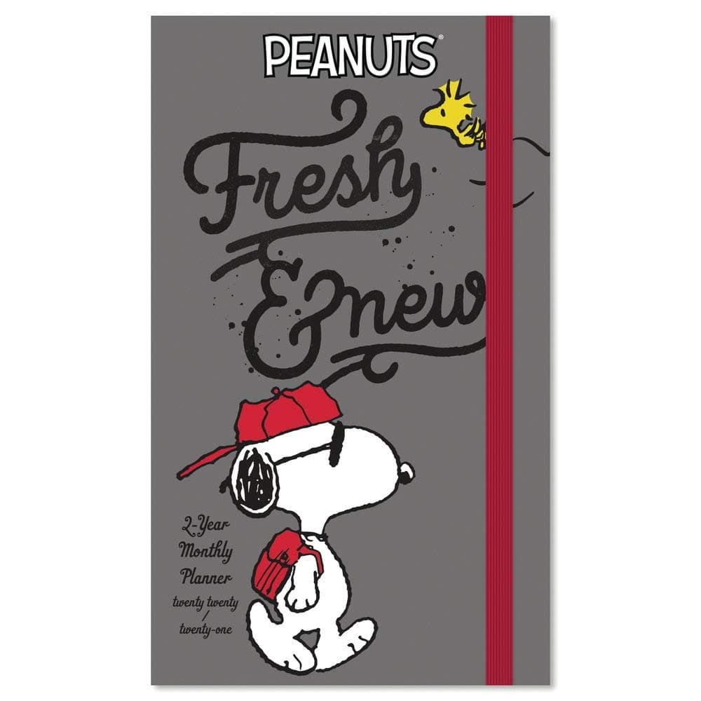 2020-2021 Peanuts Pocket Planner, 2 Year Planner (DDPP262820)