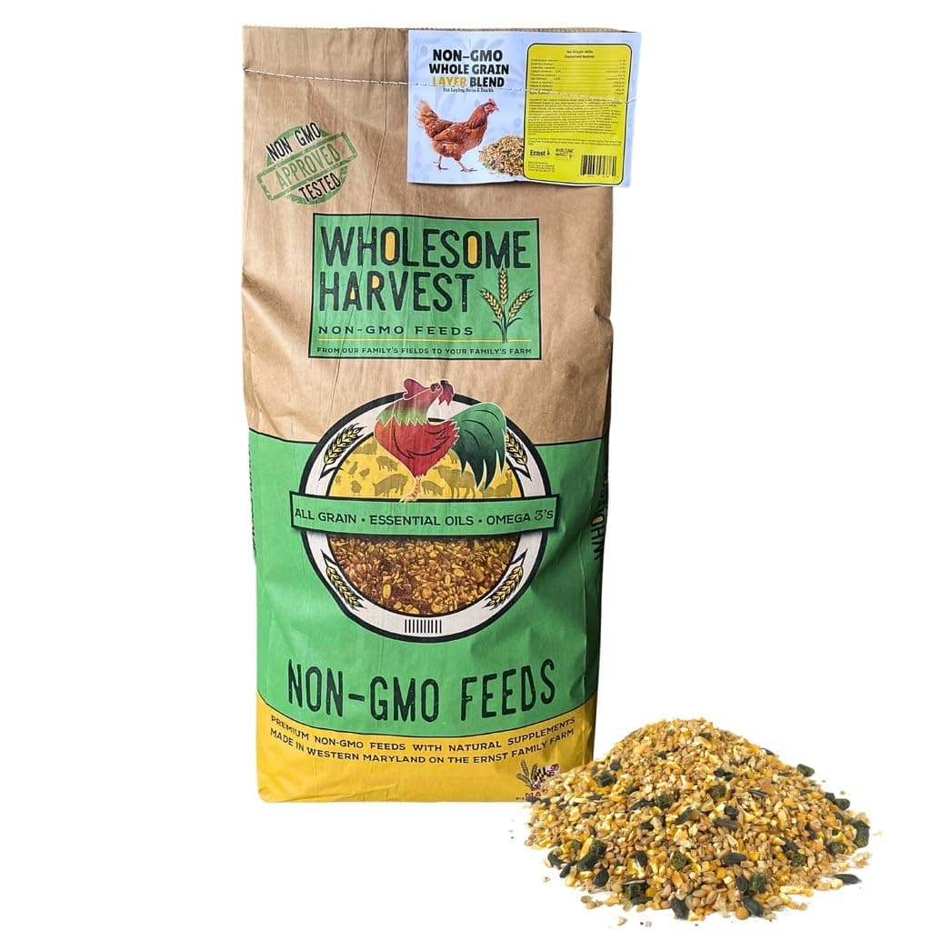 Non-GMO Whole Grain Layer Blend 16% - Chicken Feed for Laying Hens and Ducks - Includes Essential Oils, Herbs, Oyster Shells, Vital Minerals, and Omega 3, 40lb