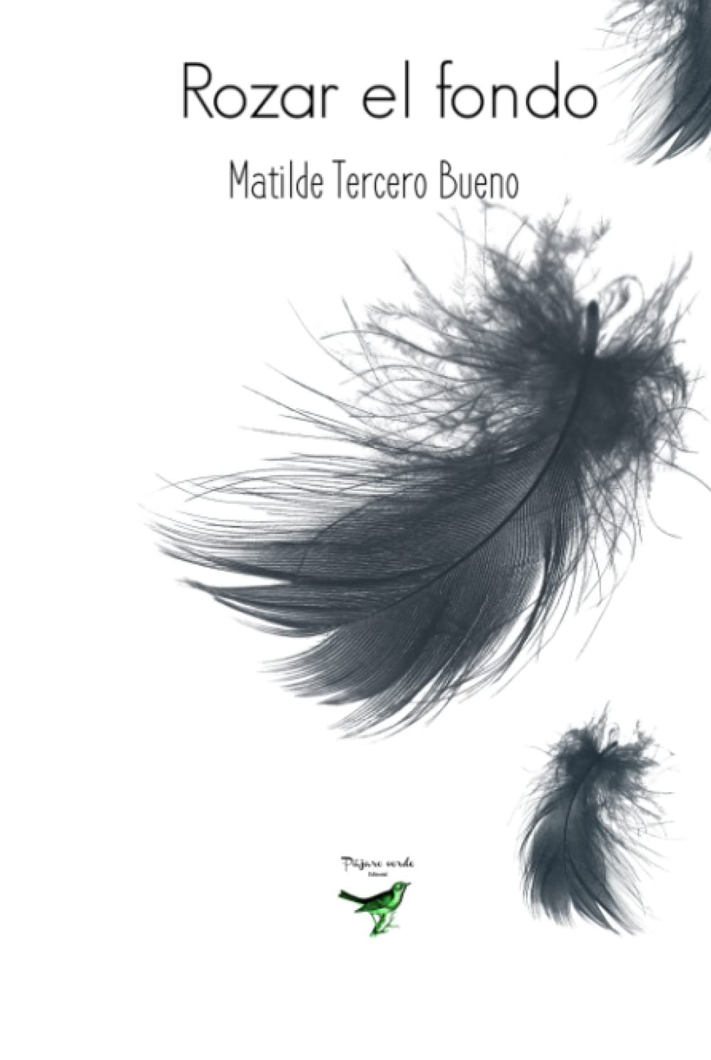 Rozar el fondo (Spanish Edition)