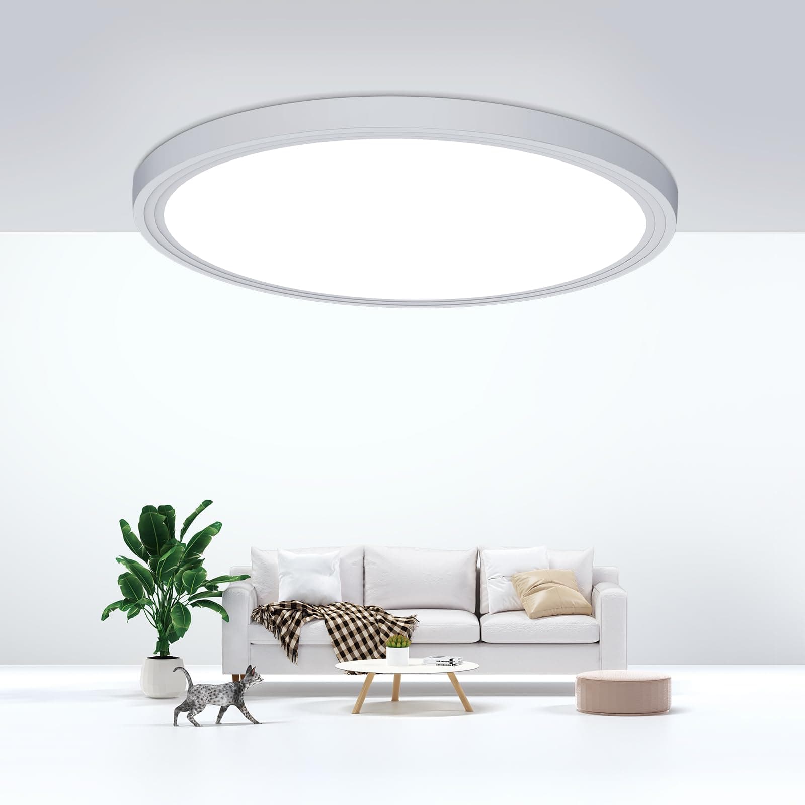 DEALGADGETSFlush Mount Ceiling Light Fixtures,24W Flat led Light for Ceiling,6000K 2200LM Ultra Thin Round White Lamp for Bedroom Kitchen,Bathroom,Garage,Living Room, Dining Room