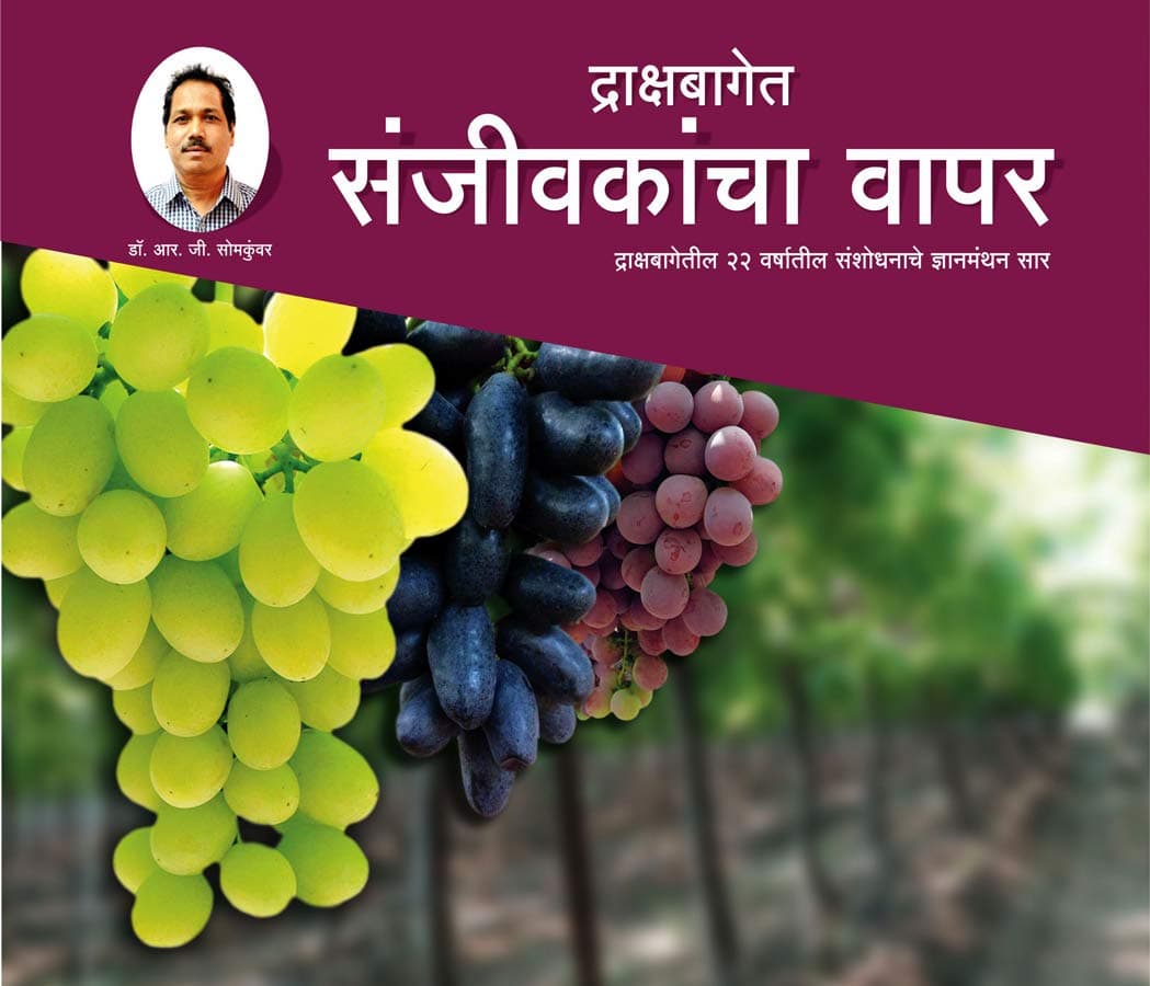 द्राक्षबागेत संजीवकांचा वापर ( Use of Plant Growth Regulators In Grape Vineyard ) Paperback – 1 January 2019