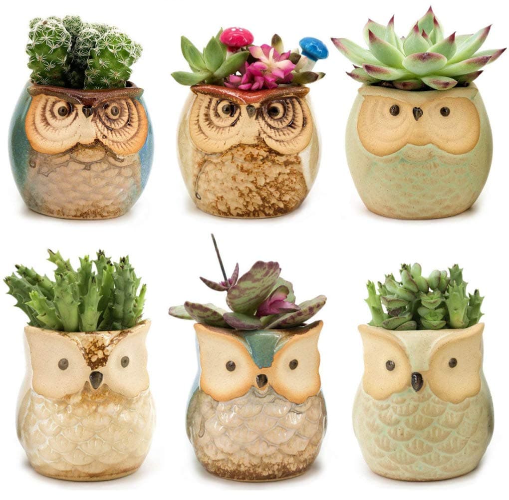 6pcs Owl Pot 2.5 Inch Ceramic Flowing Glaze Base Serial Set Succulent Plant Cactus Flower Pot Container Planter Small Bonsai Mini Pots With A Hole Gife Idea