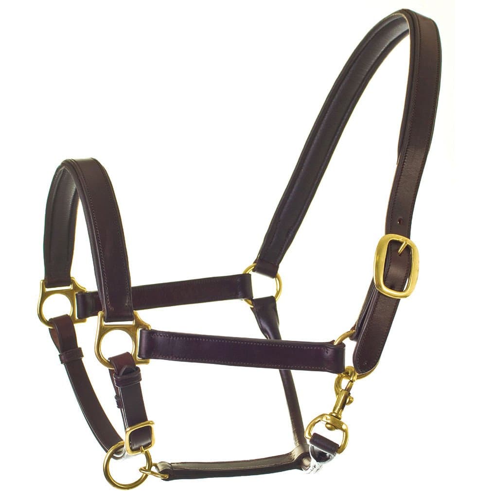 HyClass Leather Padded Head Collar(Dark Brown, Pony)
