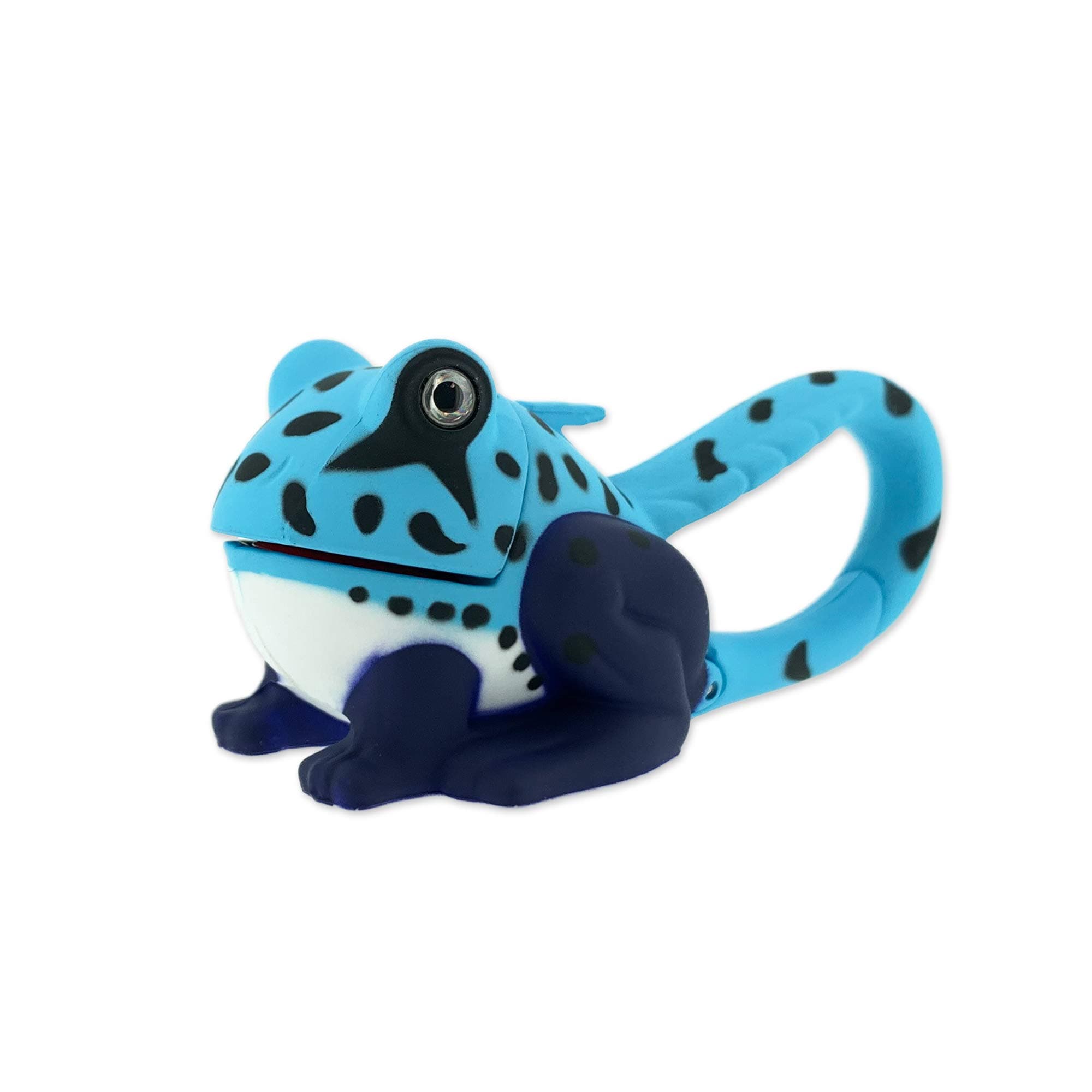 Sun Company Frog Life Light Blue One Size