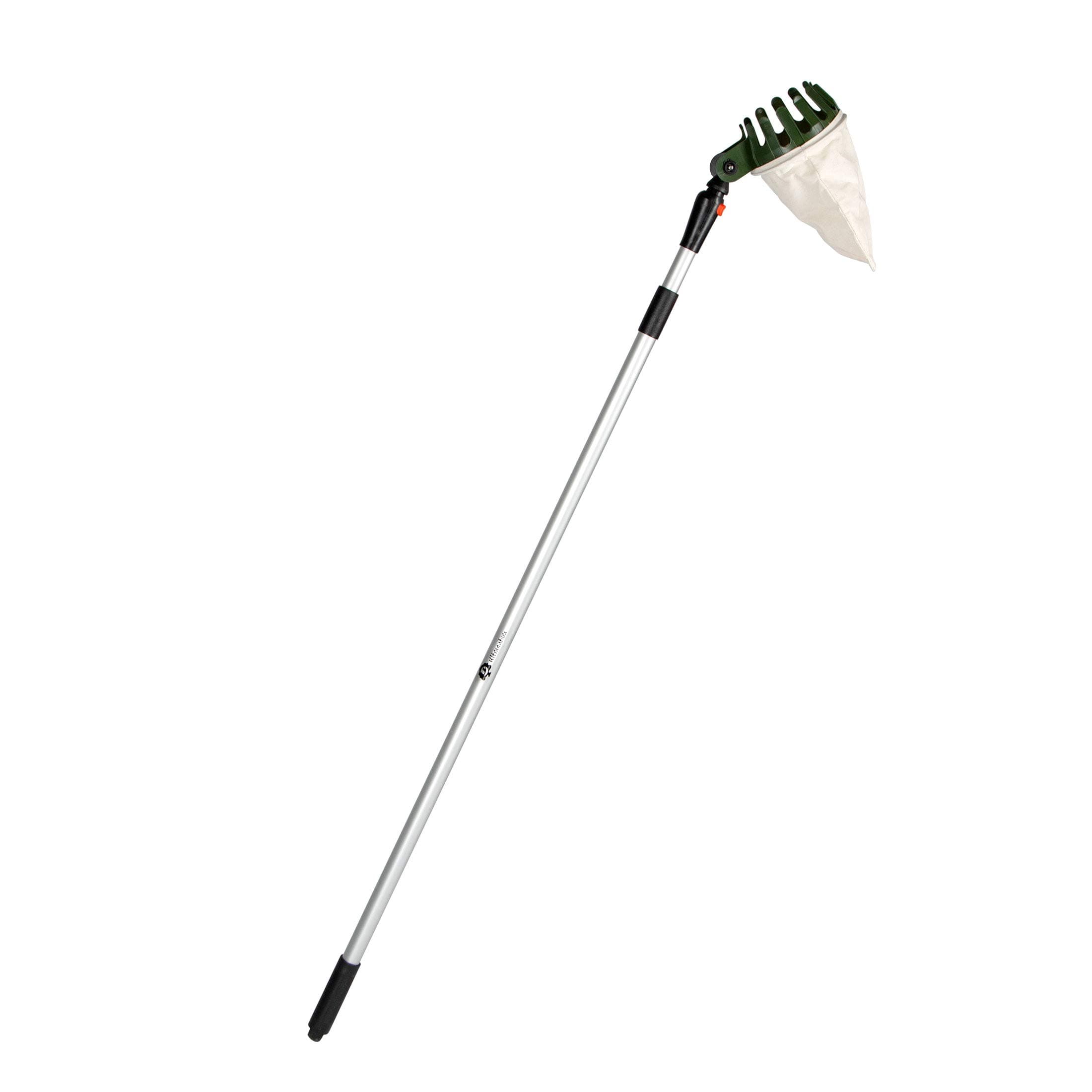 Fruit Picker with Telescopic Handle, extendable from 140 to 250 cm, Ideal harvesting aid for Picking Apples Without a Ladder, Colour: Silver and Green