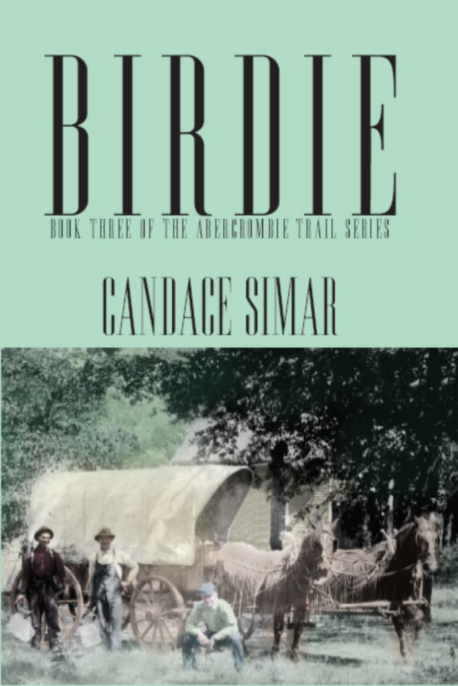 Birdie: Volume 3 (Abercrombie Trail)