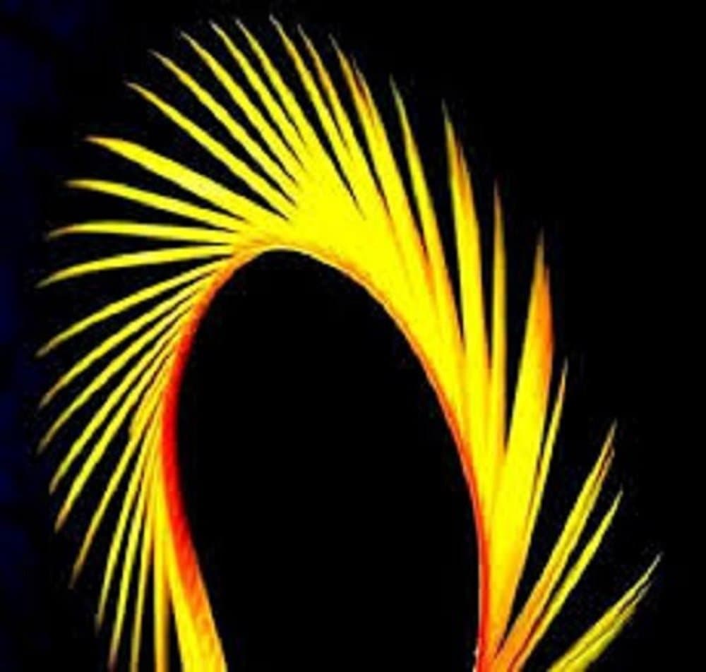 Gordon Griffiths Goose Biot Mixed Pack of 7 UV Reactive Strips