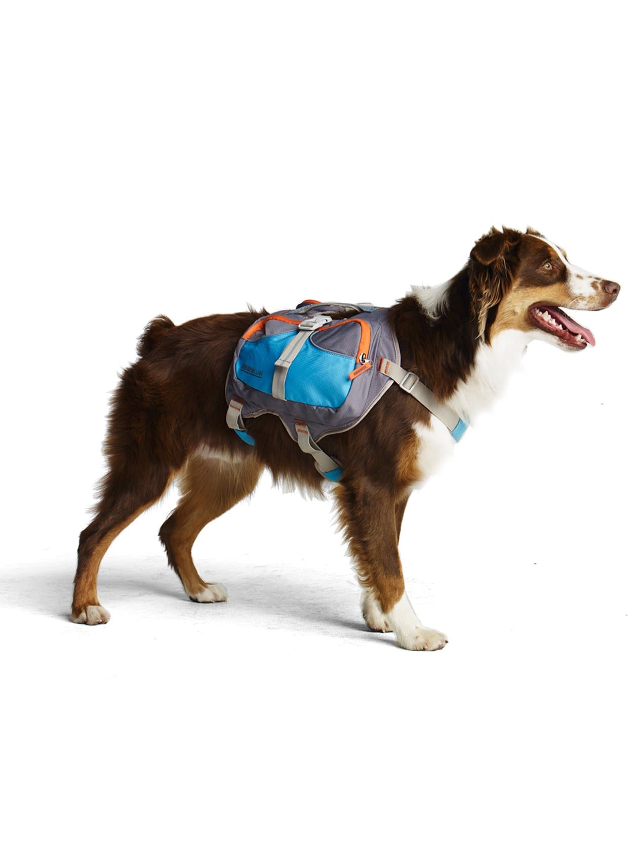 Cesar Millan Dog Backpack (Small)