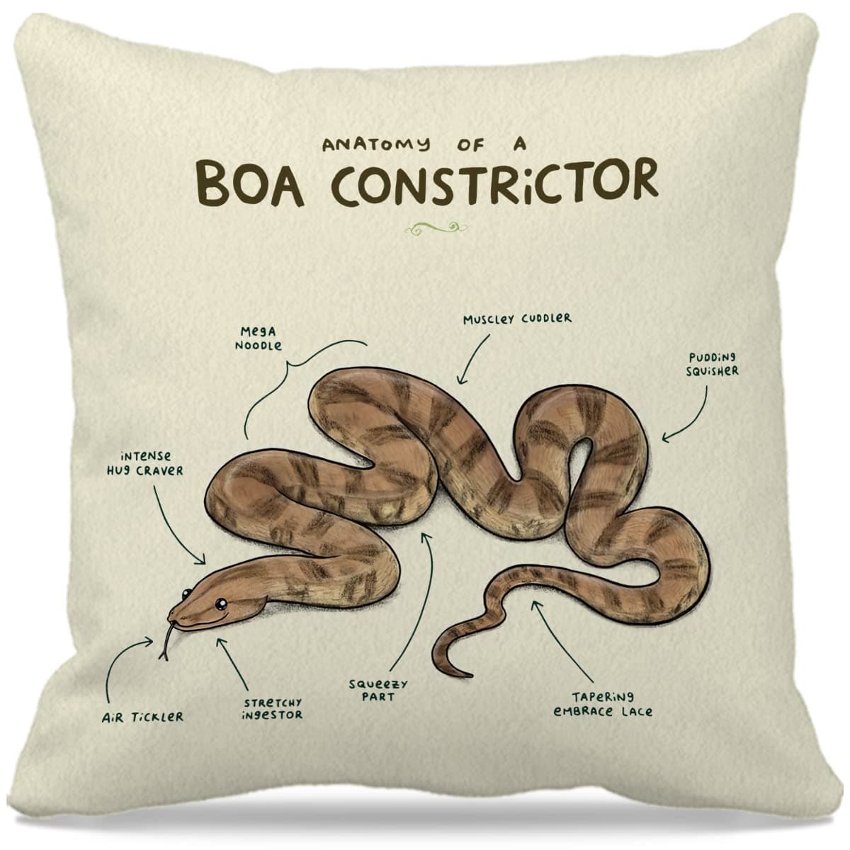 Boa Constrictor Snake Pillow Covers - Boa Constrictor Gift, Snake Owner Gifts for Women Men, Anatomy of a Boa Constrictor Pillow Covers, Funny Snake Vintage Decorative Throw Pillow Case