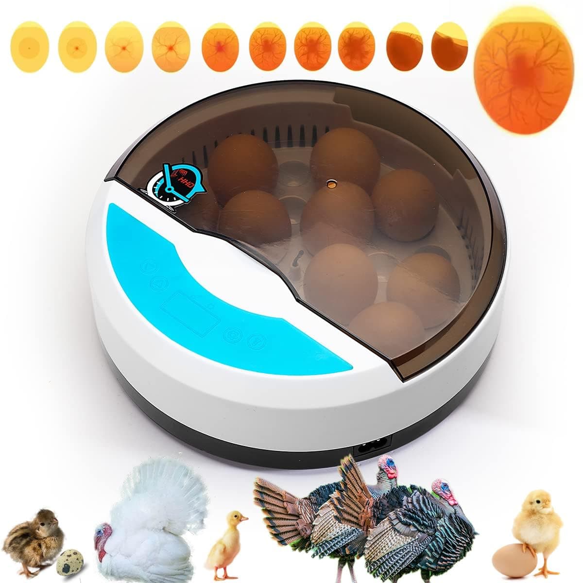 – KASTWAVE Mini Egg Incubator with LED Candle Tester and Temperature Control for Chicken Duck Goose and Bird Hatching