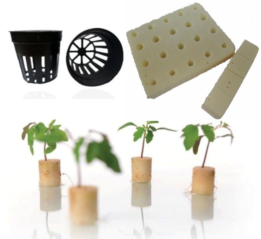 CHACREYAS 20 EA CUBE SUBLIME SUBSTRATE WITH MESH CUP 2"