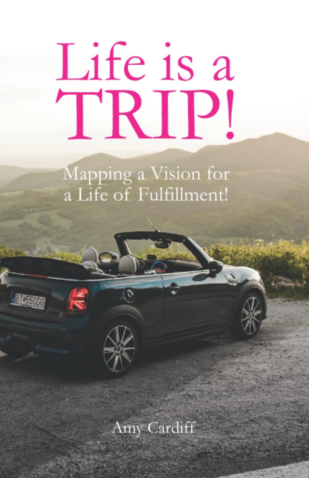 Life Is A Trip!: Mapping a Vision for a Life of Fulfillment!