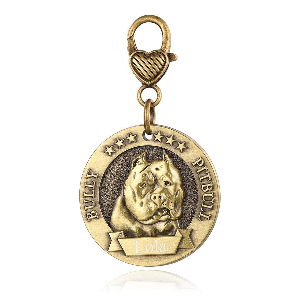 Pitbull Dog Tag Personalized Bully Pitbull 3D Effect Copper Puppy Id Dogs Name Tags Custom Engraved Memorial Identity Dog Tags for Pet Collar, Copper Brass