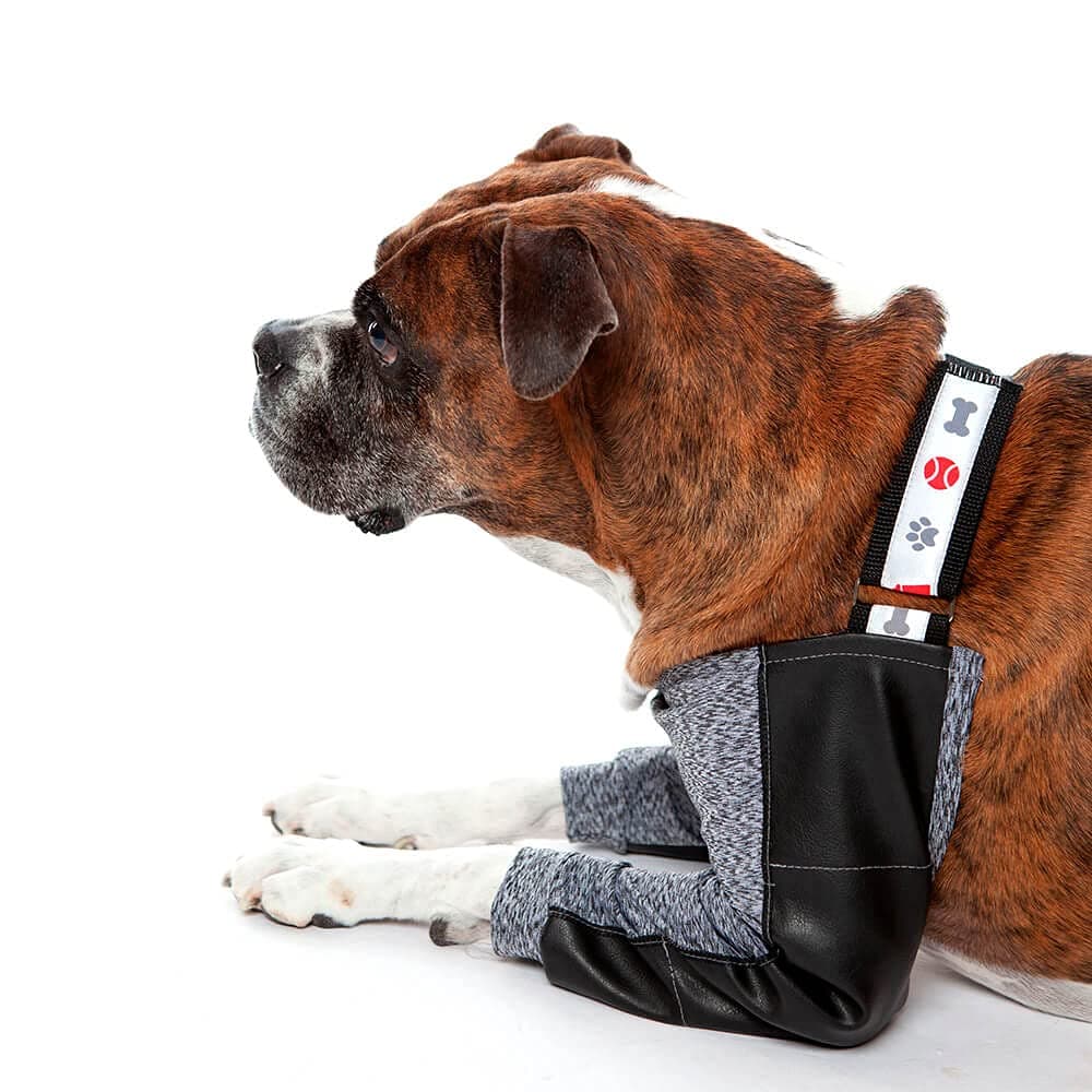 Hydro Protector Dry Comfort T7 1UD PETMED