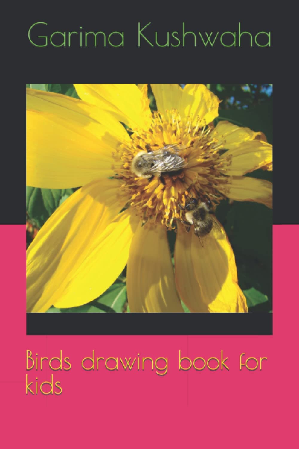 Birds drawing book for kids