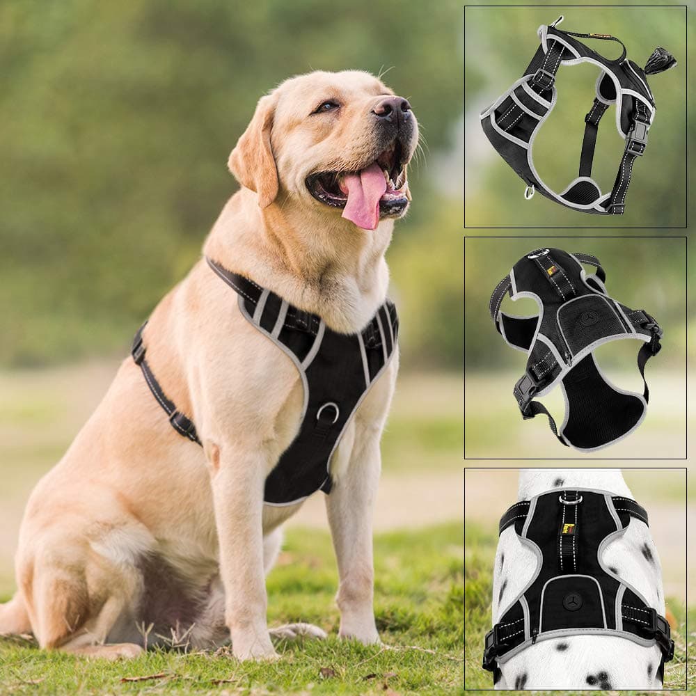PLUTUS PET No Pull Big Dog Harness with Handle & Poop Bag Holder on The Back,Waste Bag Dispenser Makes a Great Walking, Running or Hiking Accessory