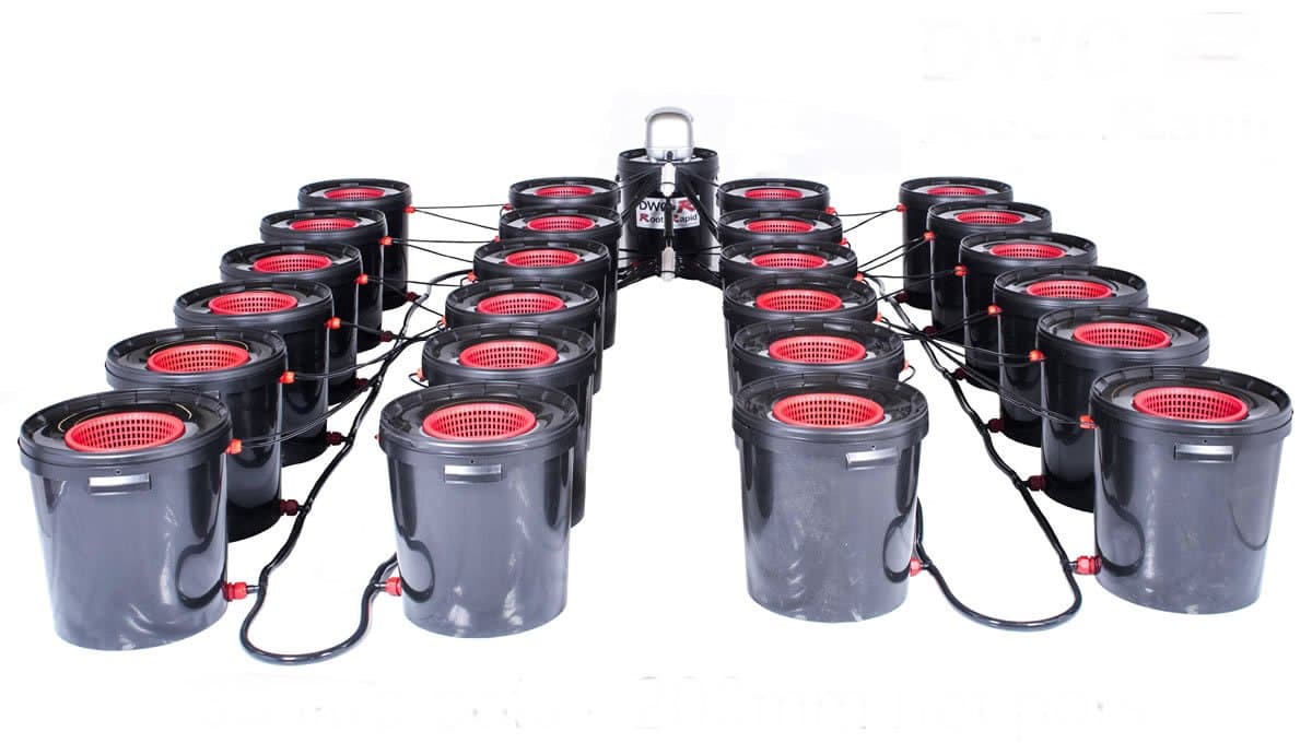 24 Pot DWC R Root Rapid Hydroponic Deep Water Culture System