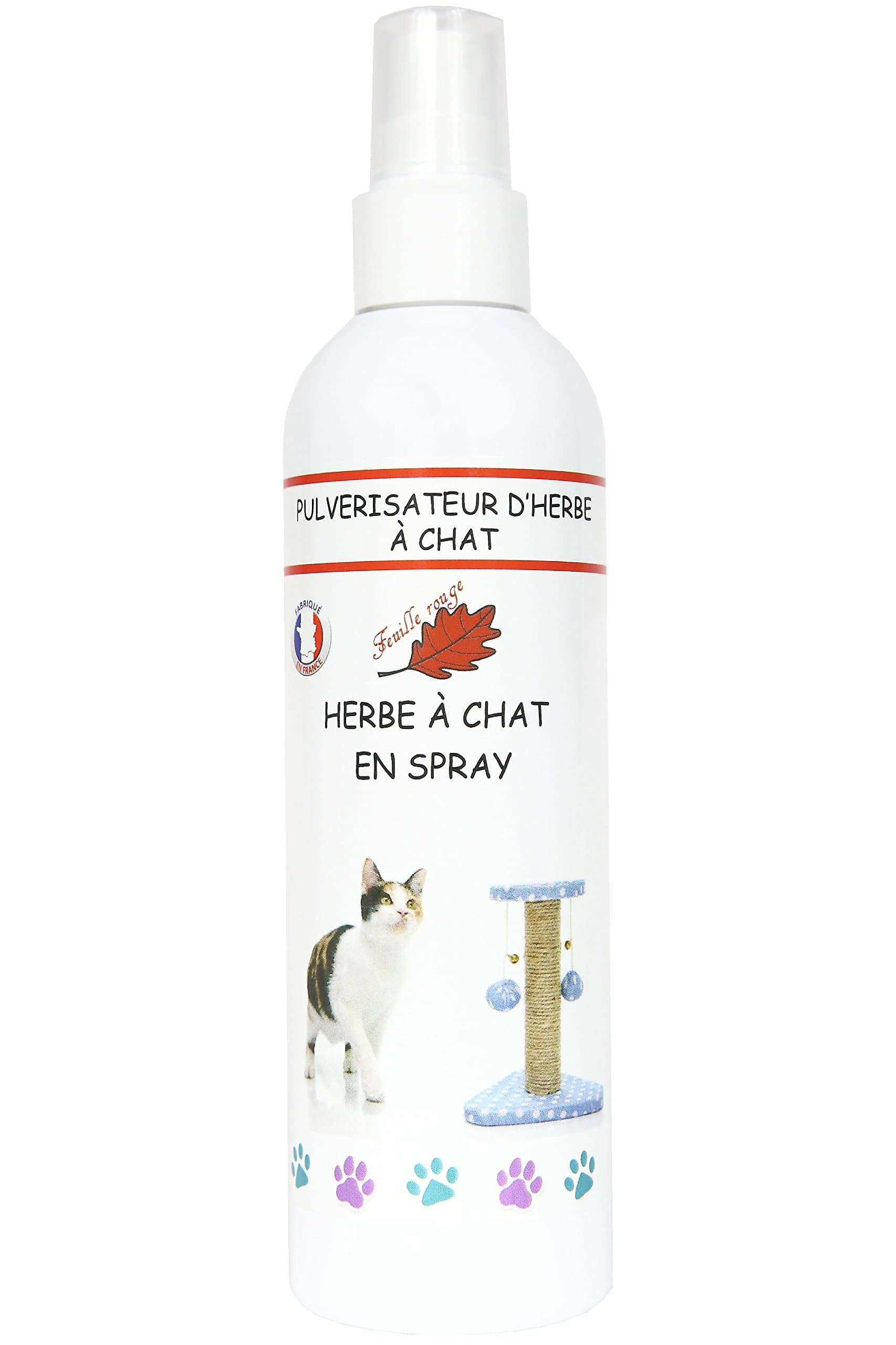 Feuille rouge Cat Spray Grass