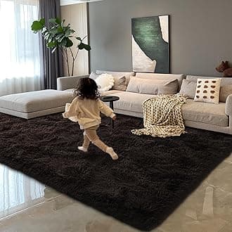HOMORE Dark Brown Rugs for Bedroom, 4x6 Feet Fluffy Area Rug Modern Shag Rugs for Living Room, Super Soft Non Slip Rug for Kids Room, Cute Rugs for Children Nursery Dorm Home Decor