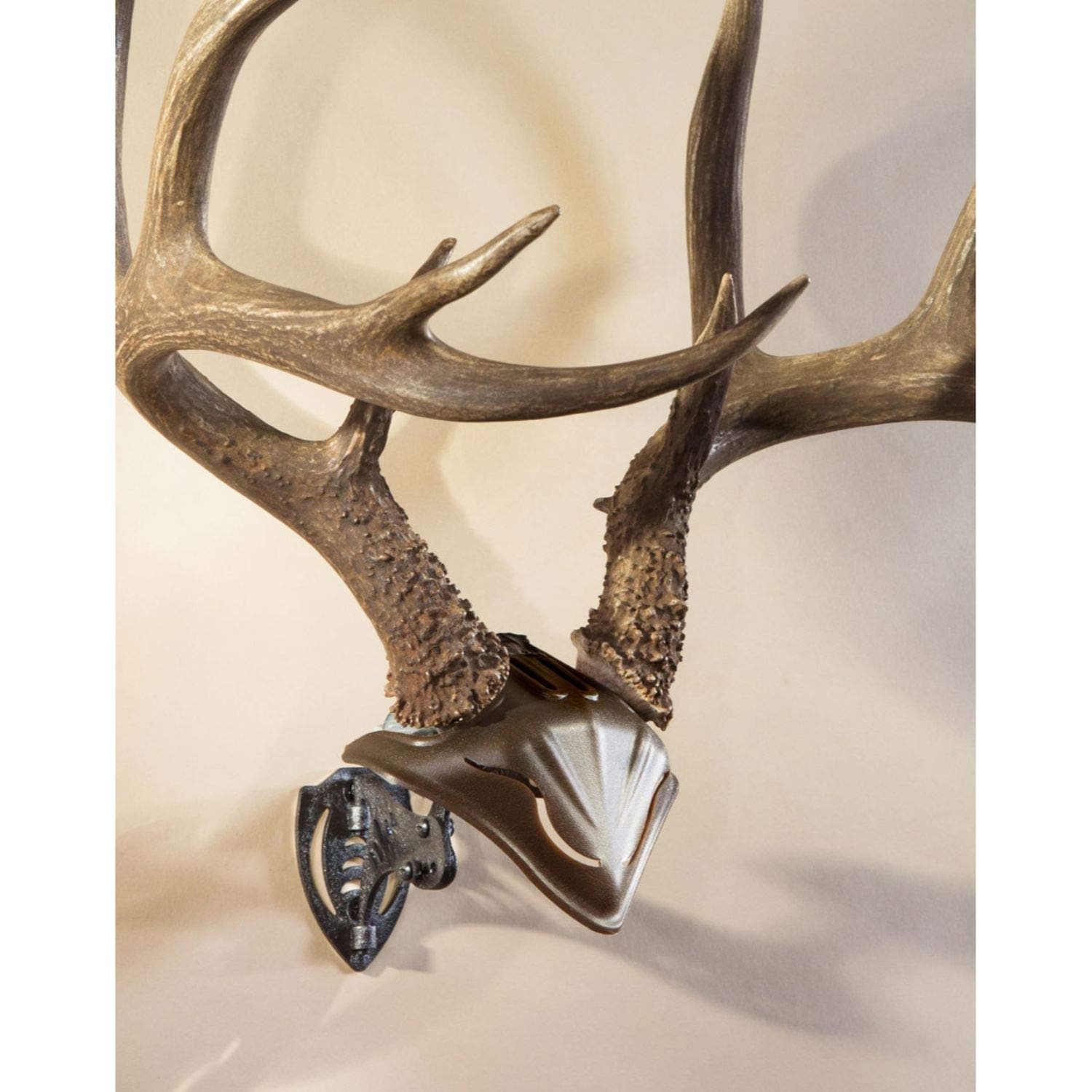 Skull Skull Bone Bracket European Trophy Mount with Skull Cap Included – Perfect Kit for Hanging and Mounting Capped Skulls for Display