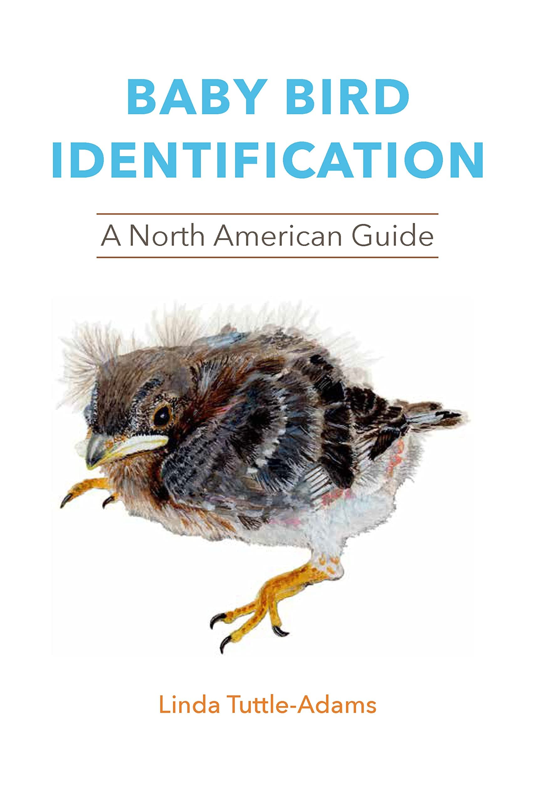 Baby Bird Identification: A North American Guide