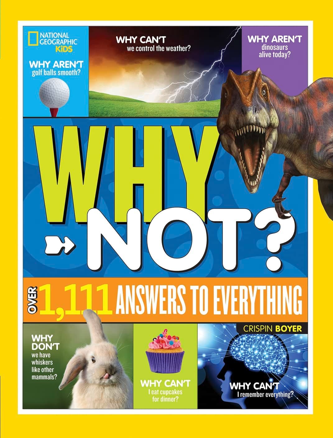 Why Not? 1,111 Answers to Everything: Over 1,111 Answers to Everything (Ngk Why?)