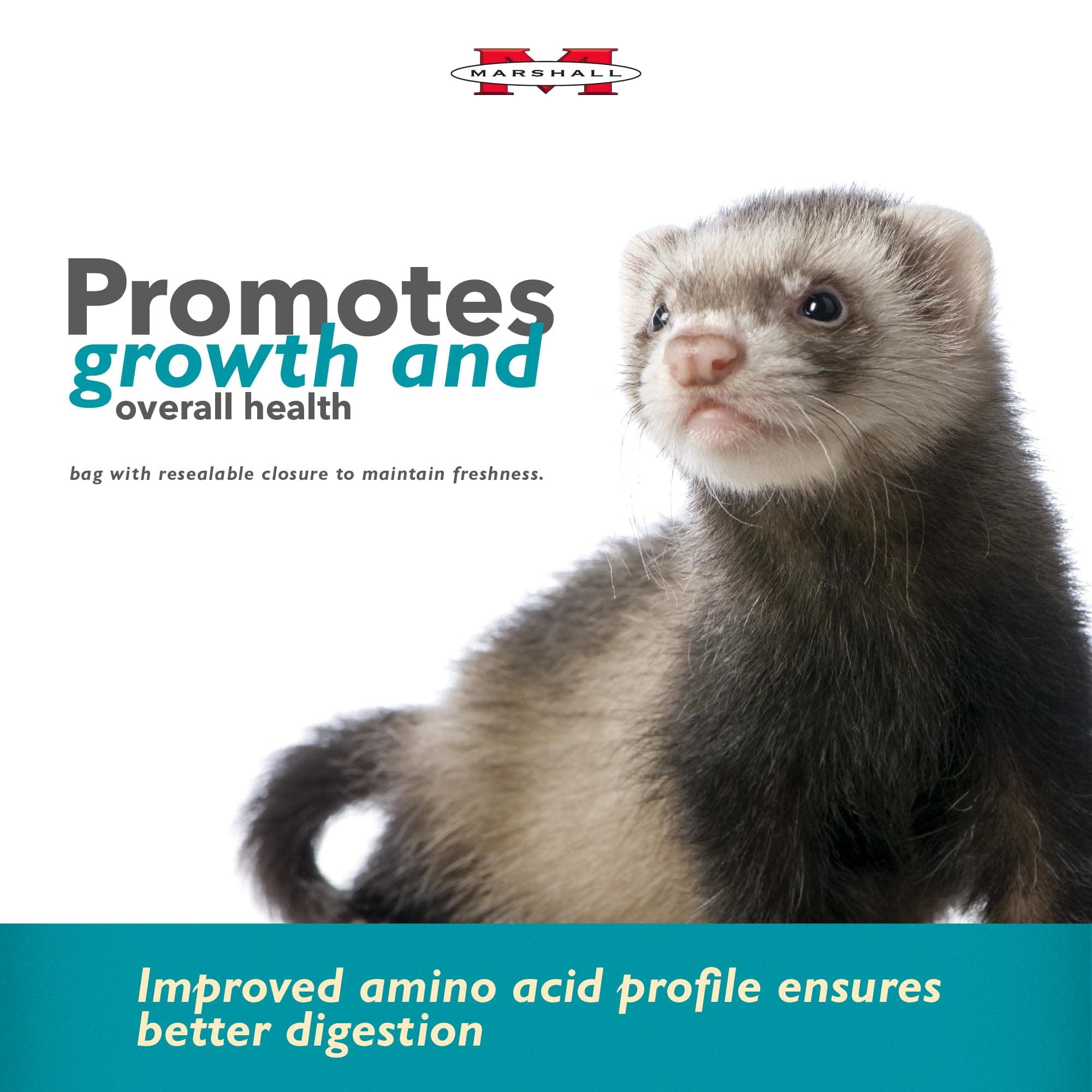 Marshall Pet Products (2 Pack) Select Chicken Formula Premium Ferret Diet