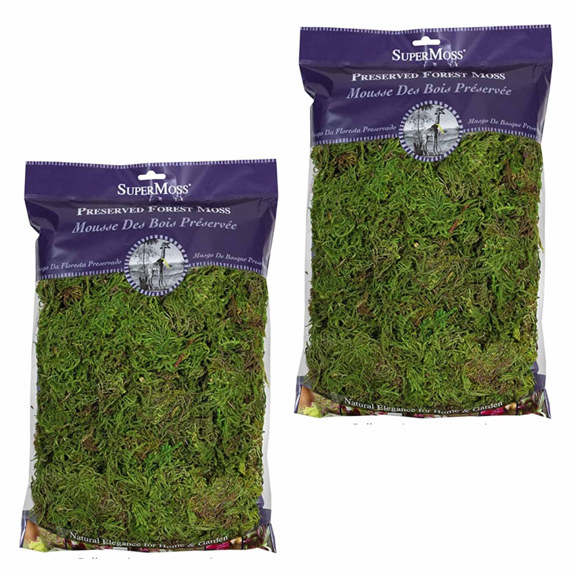 Forest Moss (2 Pack, 8oz) - Modern Garden Moss