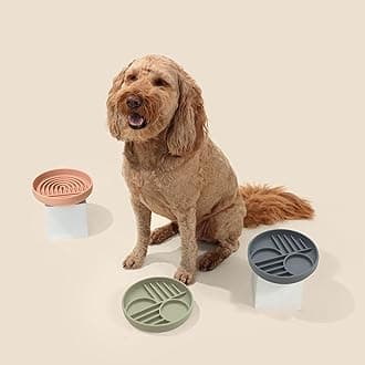 Should We Go? Slow Feeder for Dogs & Puppies, The Slowdown Bowl Silicone Slow Eating, Modern Lick Mat Design, Reduces Gulping, Fits 2 Cups, 7.5” Across x 1.5” Tall, Mealtime Challenge, Medium-Sage