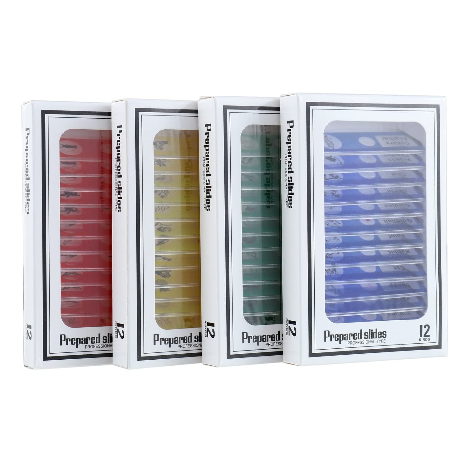 BOJACK 48 PCS Prepared Microscope Slides Set Animals Insects Plants Flowers Plastic Sample Specimens for Students Education