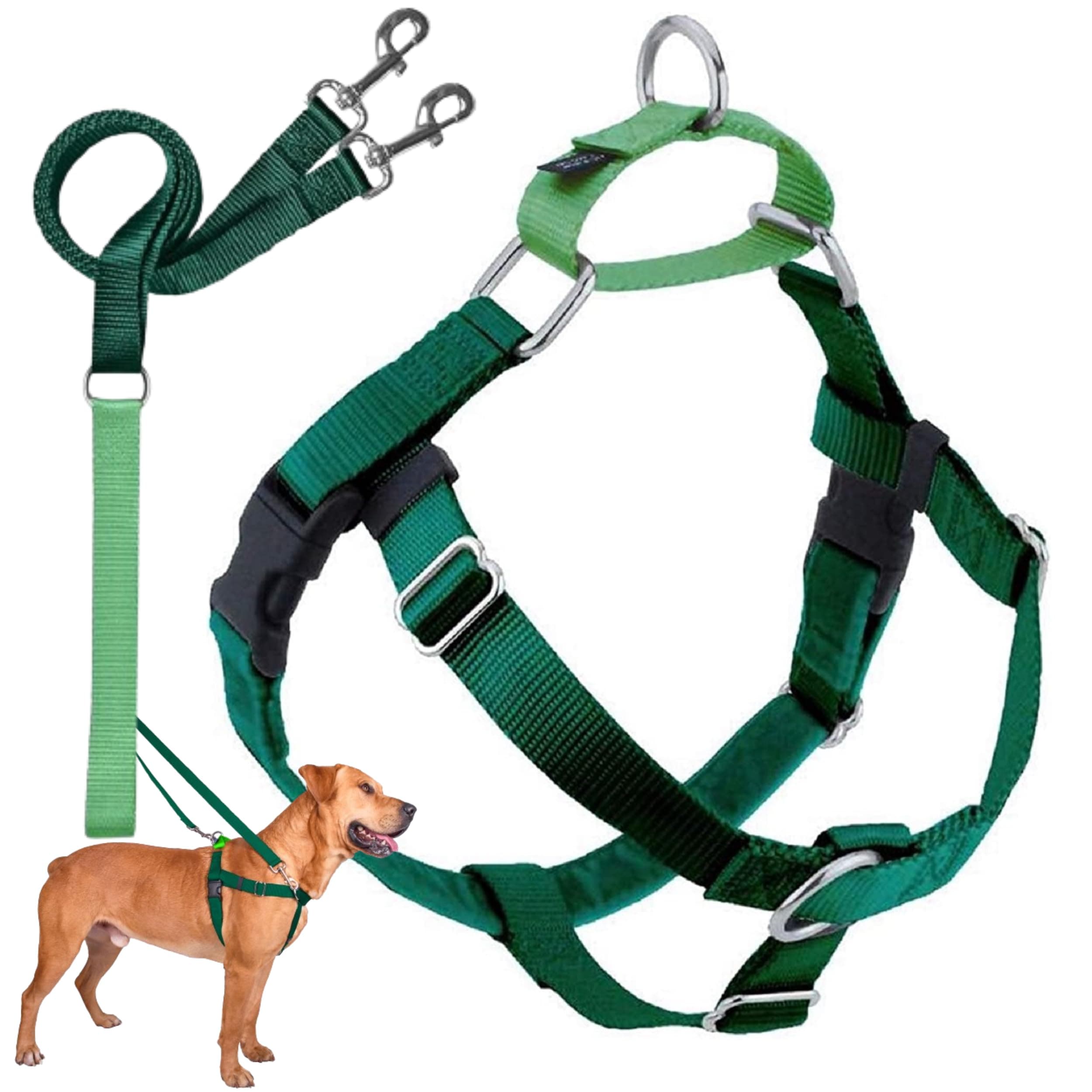 Freedom No-Pull Dog Harness with Leash, Large, 1-Inch Wide, Kelly Green
