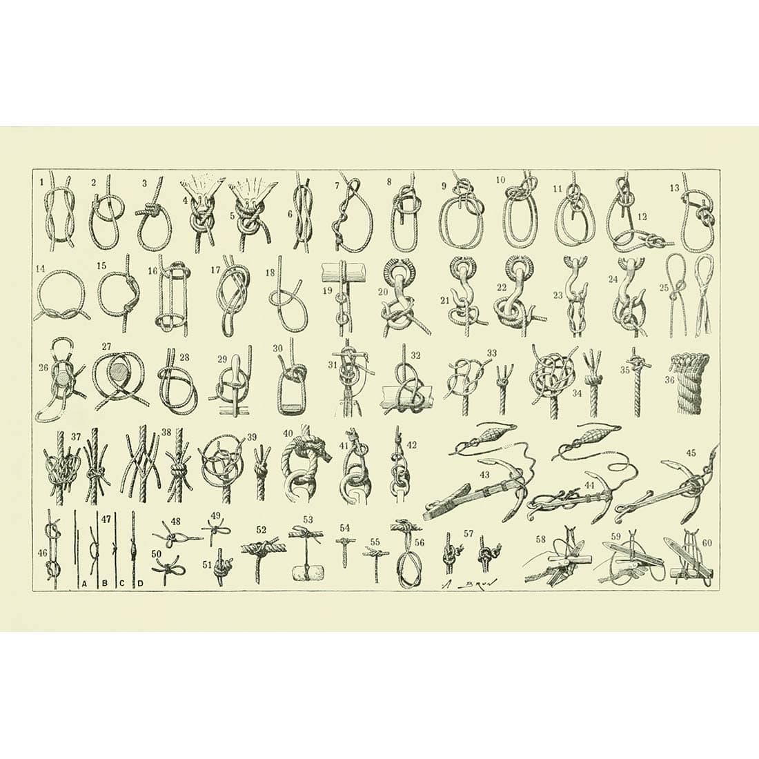 Meishe Art Poster Print Rope Knot Hitch Identification Reference Collection Retro Vintage Educational Illustration Outdoor Knowledge Chart Diagram Club Home Wall Decor (33cm x 50cm)