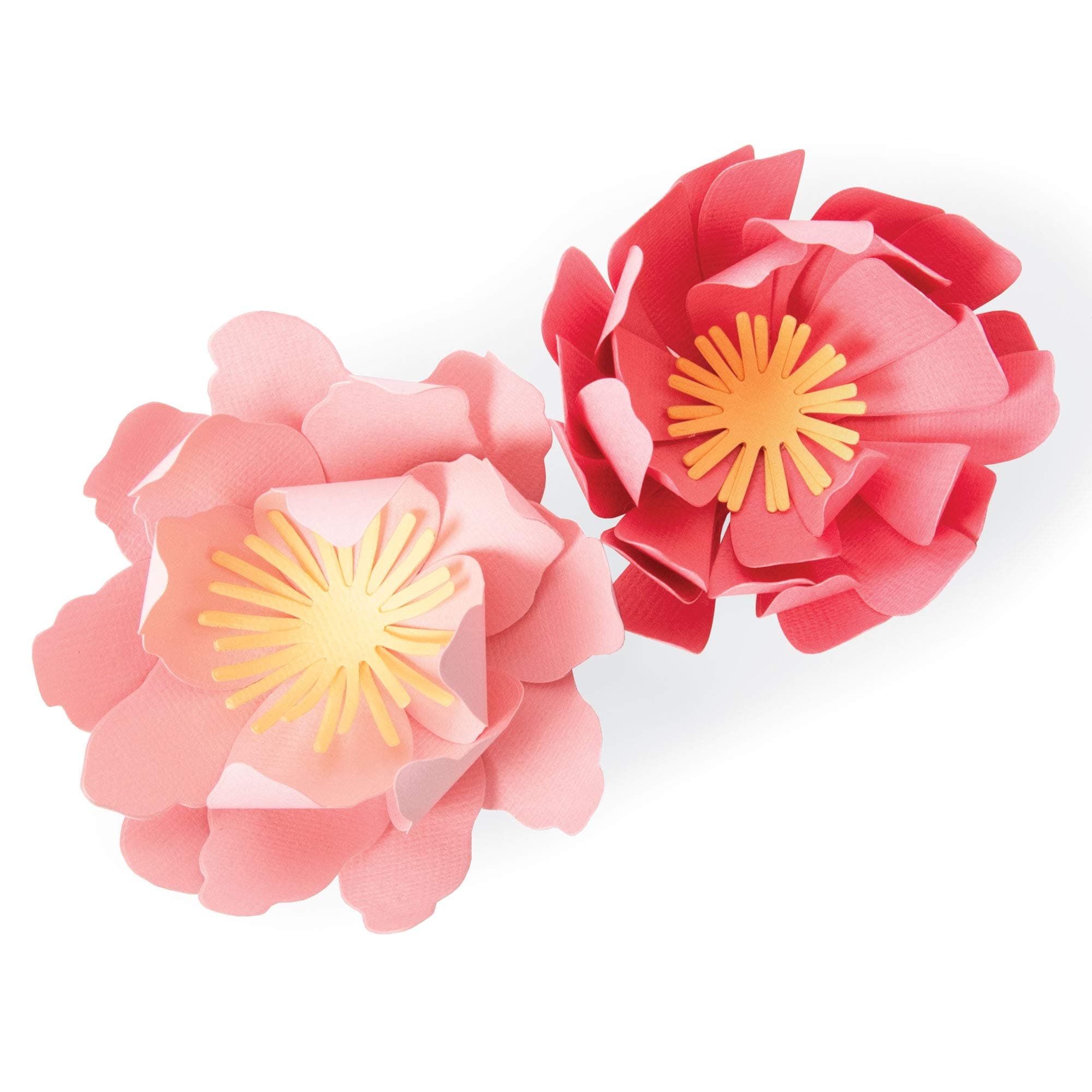 Bigz Die Blooms, Multicolor