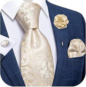 Silk Ties for Men Necktie and Lapel Pin Brooch Set Formal Woven Paisley Plaid Striped Solid Tie Wedding Party