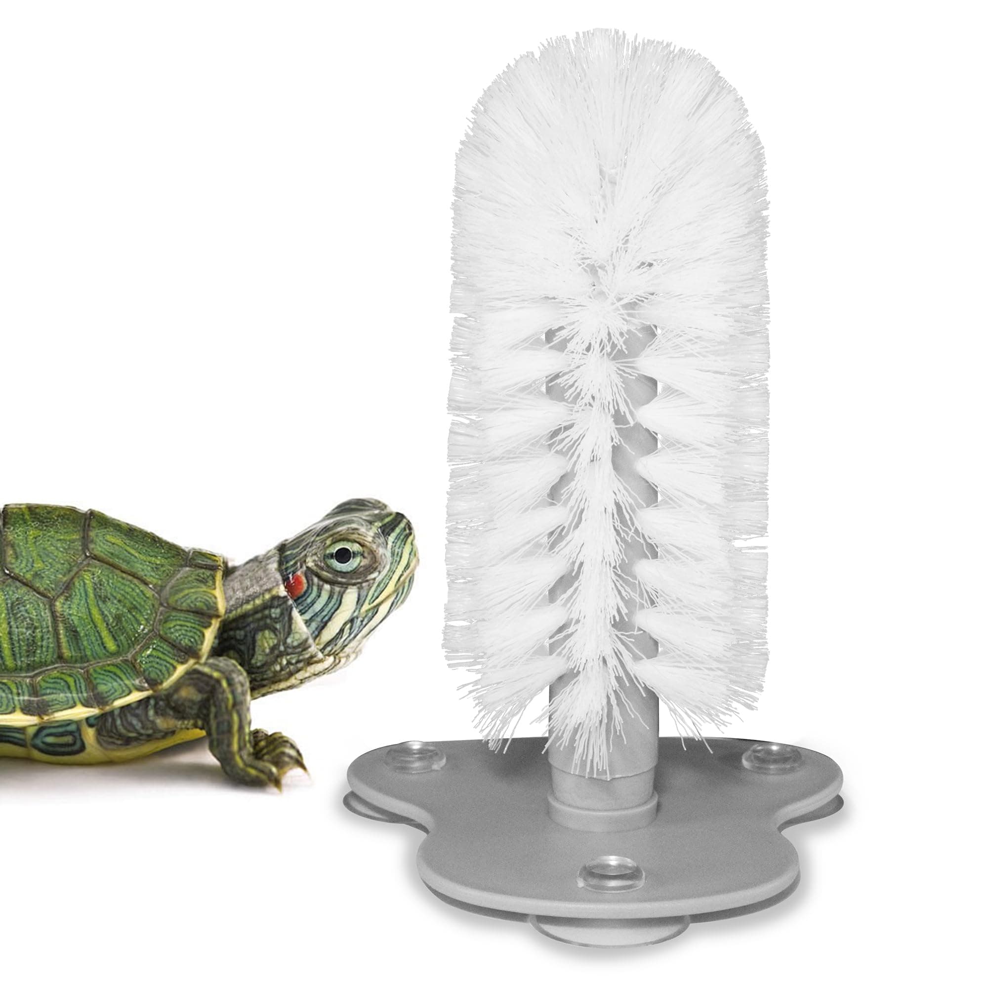 Turtle Brush with Suction Cup for Tank, Three High Suction Power Suction Cup Turtle Shell Cleaning Brush, White