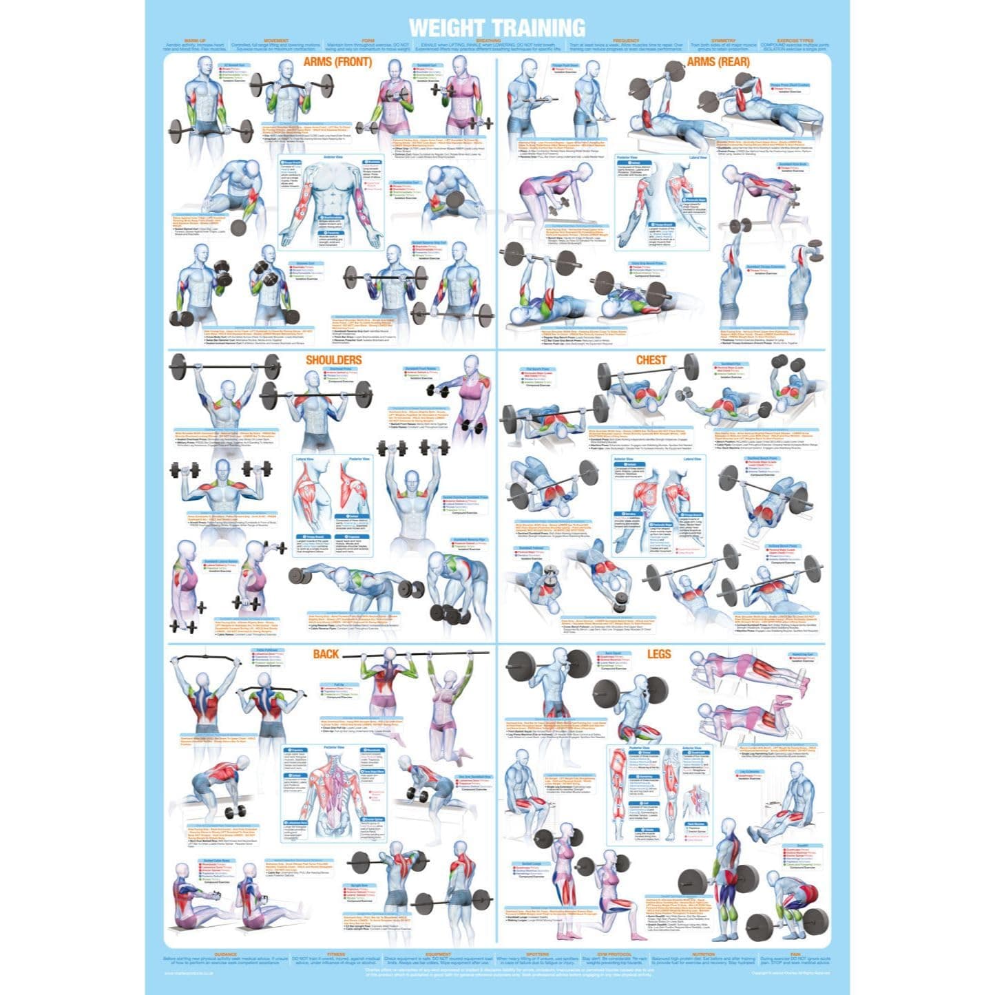 Weight Training Exercise Poster | Bodybuilding Exercise Chart | Whole Body Workout | Major Muscle Groups | Dumbbells | Barbells | Weight Lifting | Athletics | Strength Training | A2 Laminated Format