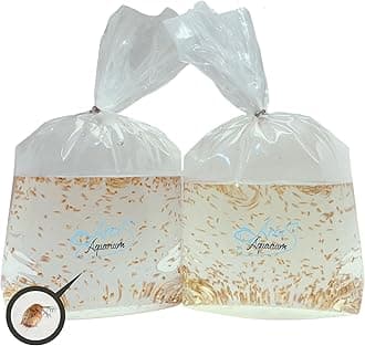 500+ Live Daphnia Magna (2 Packs – 250 Each) | Premium Living Culture Feeder for Freshwater Fish, Fry, Shrimp, Axolotls & Aquatic Pets – Planktonic Crustacean, Water Fleas, Aquatic Live Food