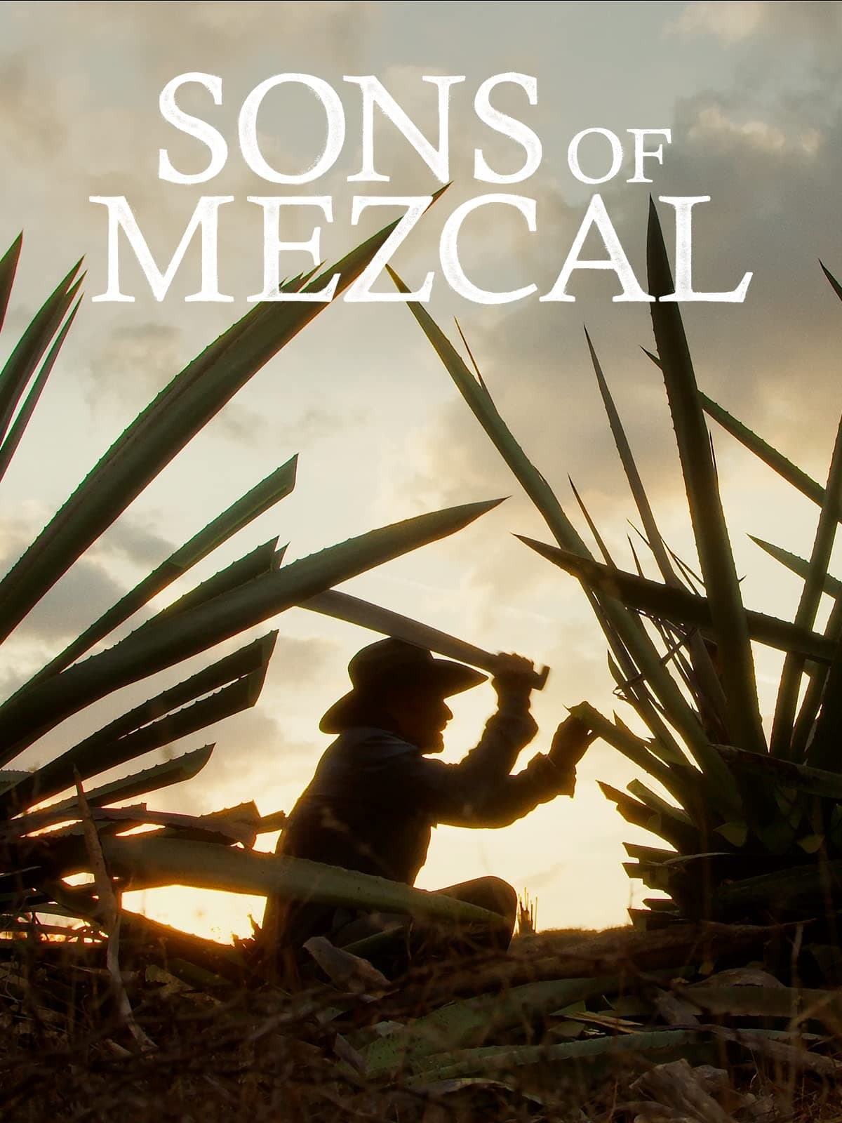 Sons of Mezcal