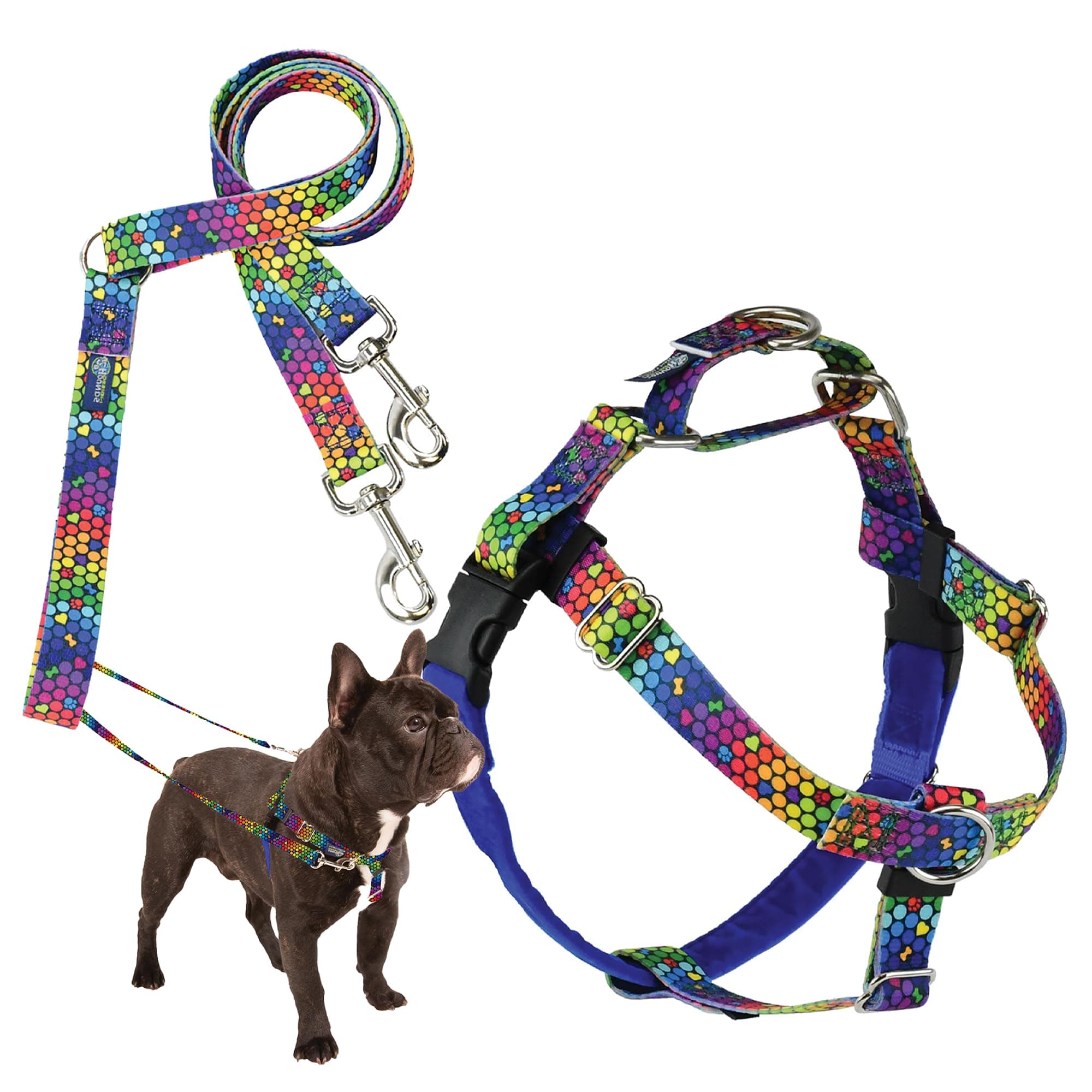 2 Hounds Design - Freedom No-Pull Harness & Training Leash in Blue and Rainbow | Dual Leash Loops, No Pulling on Walks | Lined to Prevent Chaffing | for Small Sized Dogs (Size S, Chest 20”- 24”)