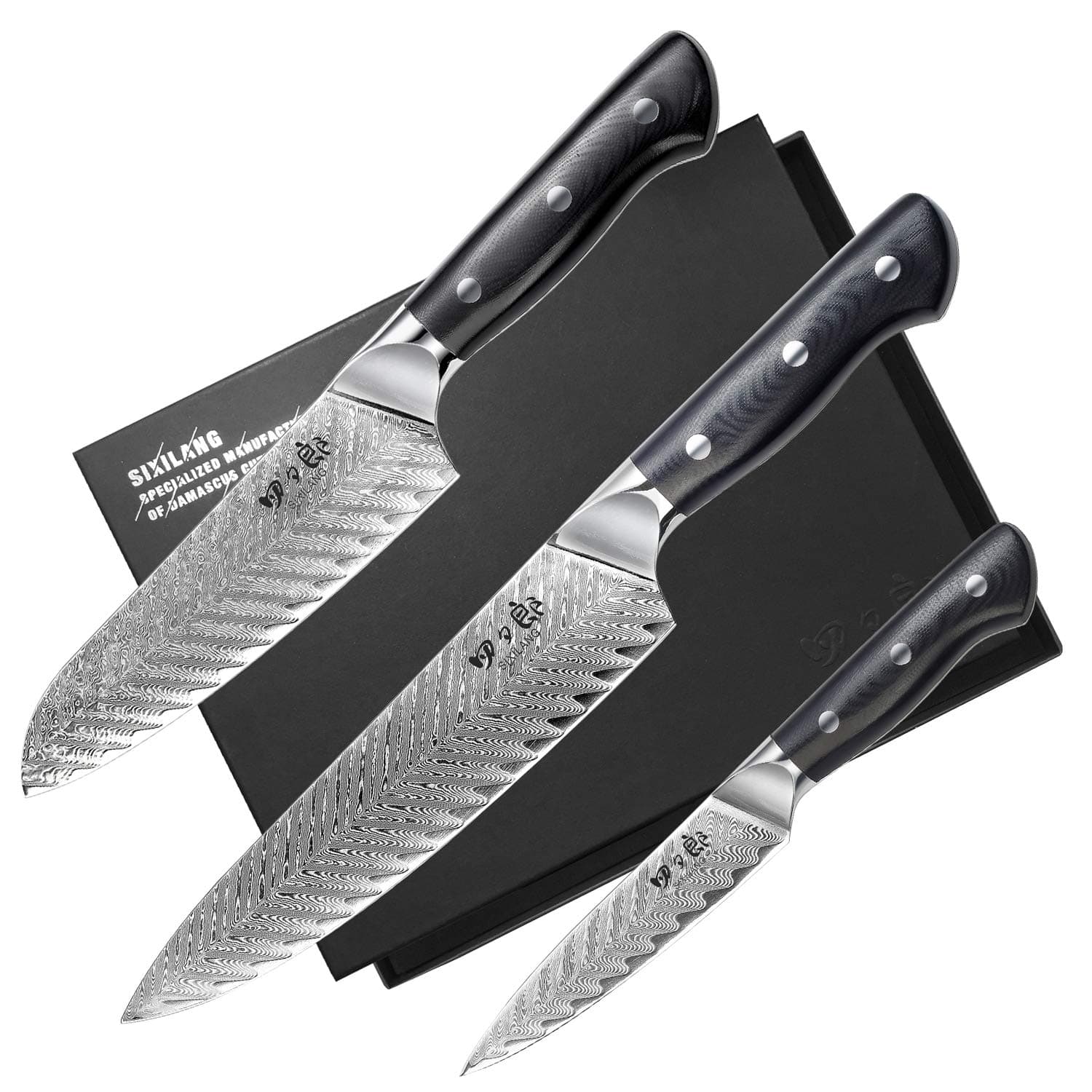 Knife Set, 3 PCS Professional Damascus Chef Knives, 67 Layer Japanese AUS10 Steel Core Forged Kitchen Knives, Well-Balanced Full Tang Handle Triple Rivet Handle - Black Gift Box