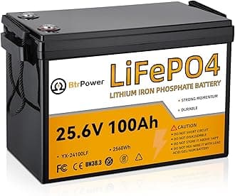24V 100Ah Lithium LiFePO4 Battery,8000+ Deep Cycle LiFePO4 Batteries, Built-in 100A BMS,2560Wh Energy,Perfect for Home Storage and Off-Grid,Camping,Solar,Bankup Power etc.