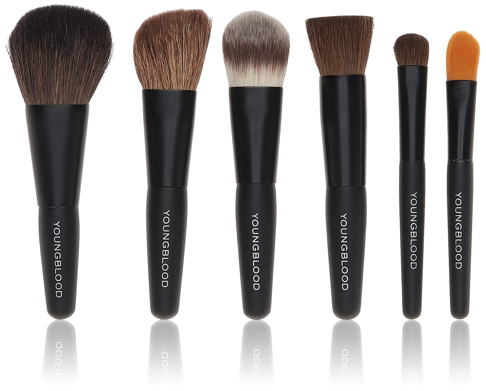Youngblood Professional Mini 6pc Brush Set 6pcs