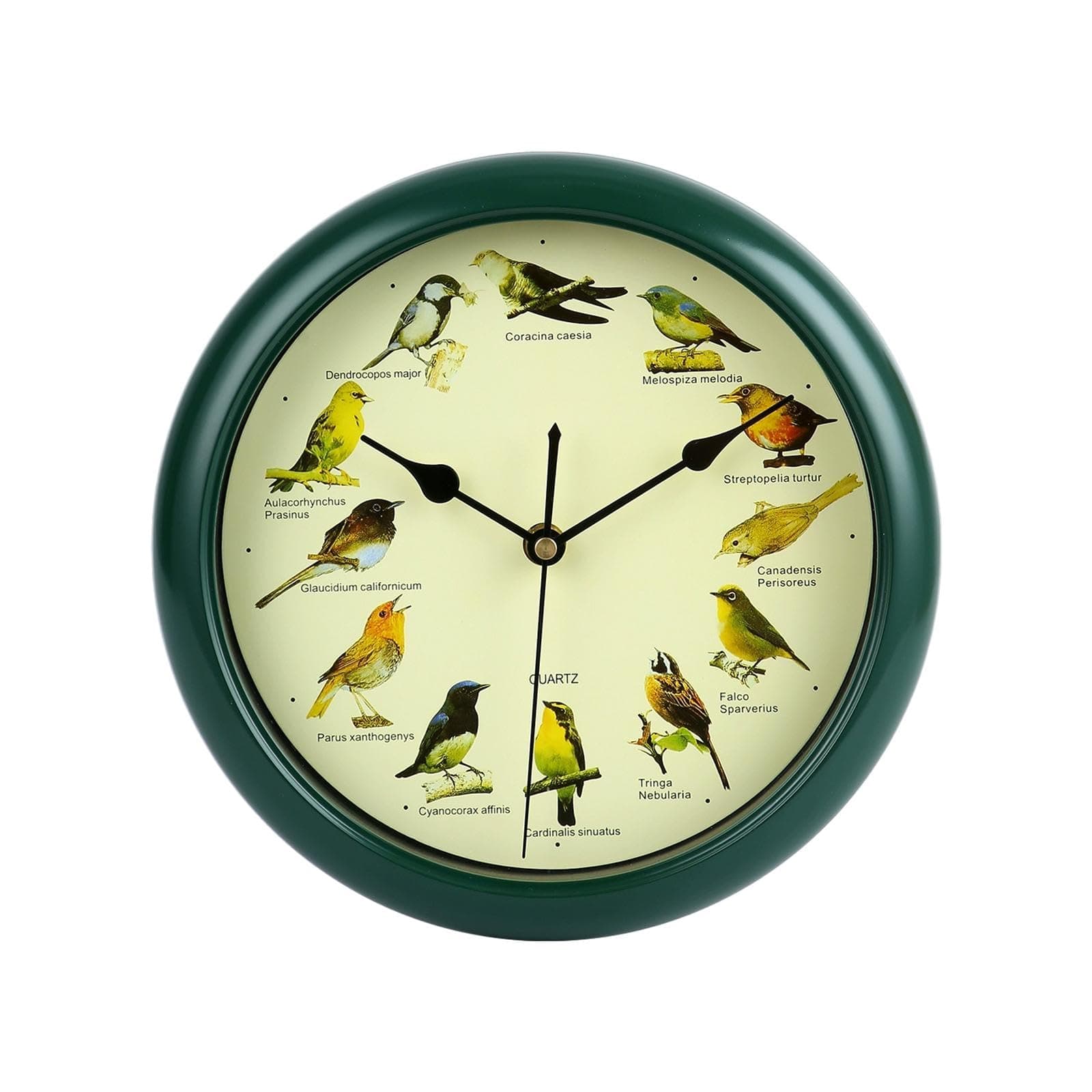 ATORSE 10inch Singing Wild Bird Wall Clock Battery Powered Melody Clock for Kitchen