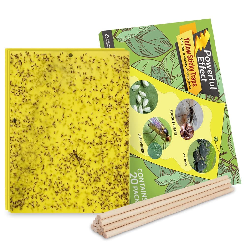20-Pack Fruit Fly Trap, Yellow Sticky Gnat Traps Killer for Indoor/Outdoor Flying Plant Insect Like Fungus Gnats, Whiteflies, Aphids, Leaf Miners - 6x8 in, Twist Ties Included