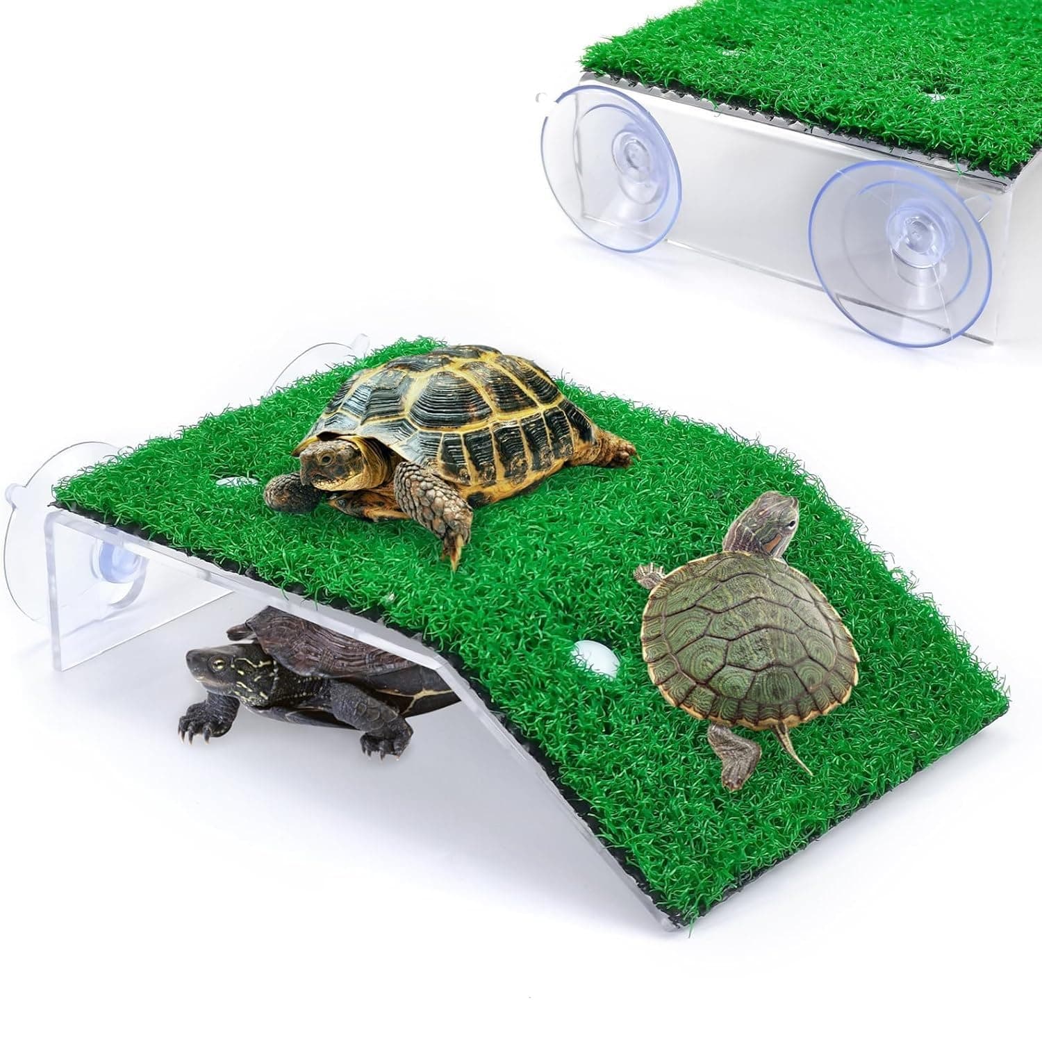 Acrylic (CP-120) Turtle Basking Platform Simulation Grass Tortoise Resting Terrace with Artificial Lawns Turtle Ramp Climbing Ladder Decor with Suction Cup Tank by Petzlifeworld