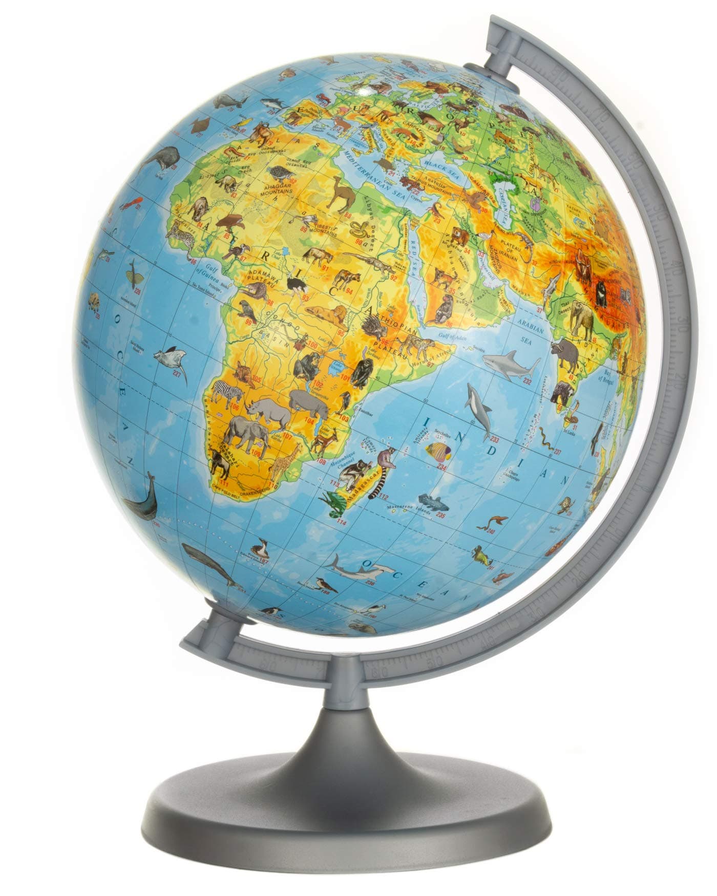 Animals 22cm Globe - Young Kids Globes