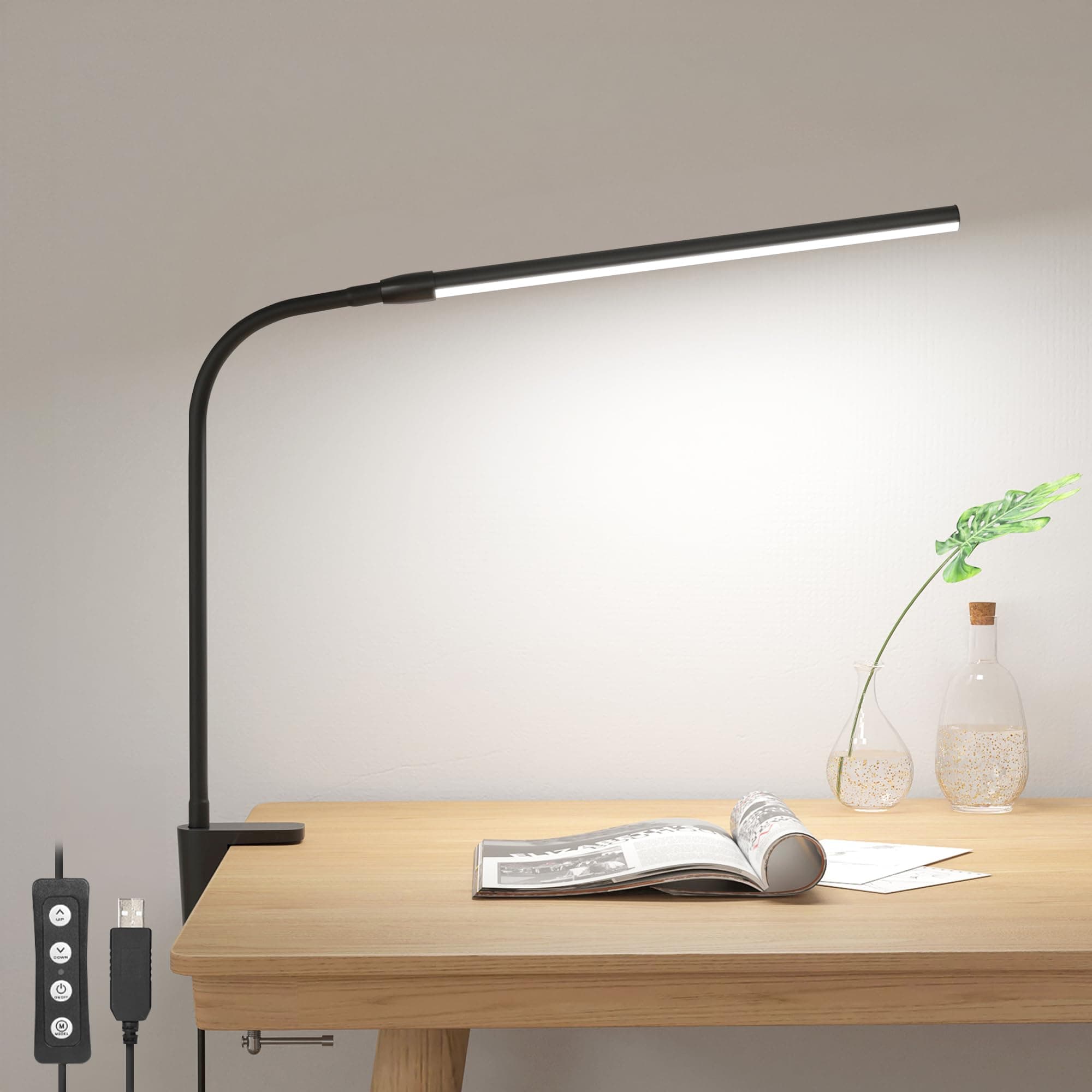 Desk Lamp 310006-DWW
