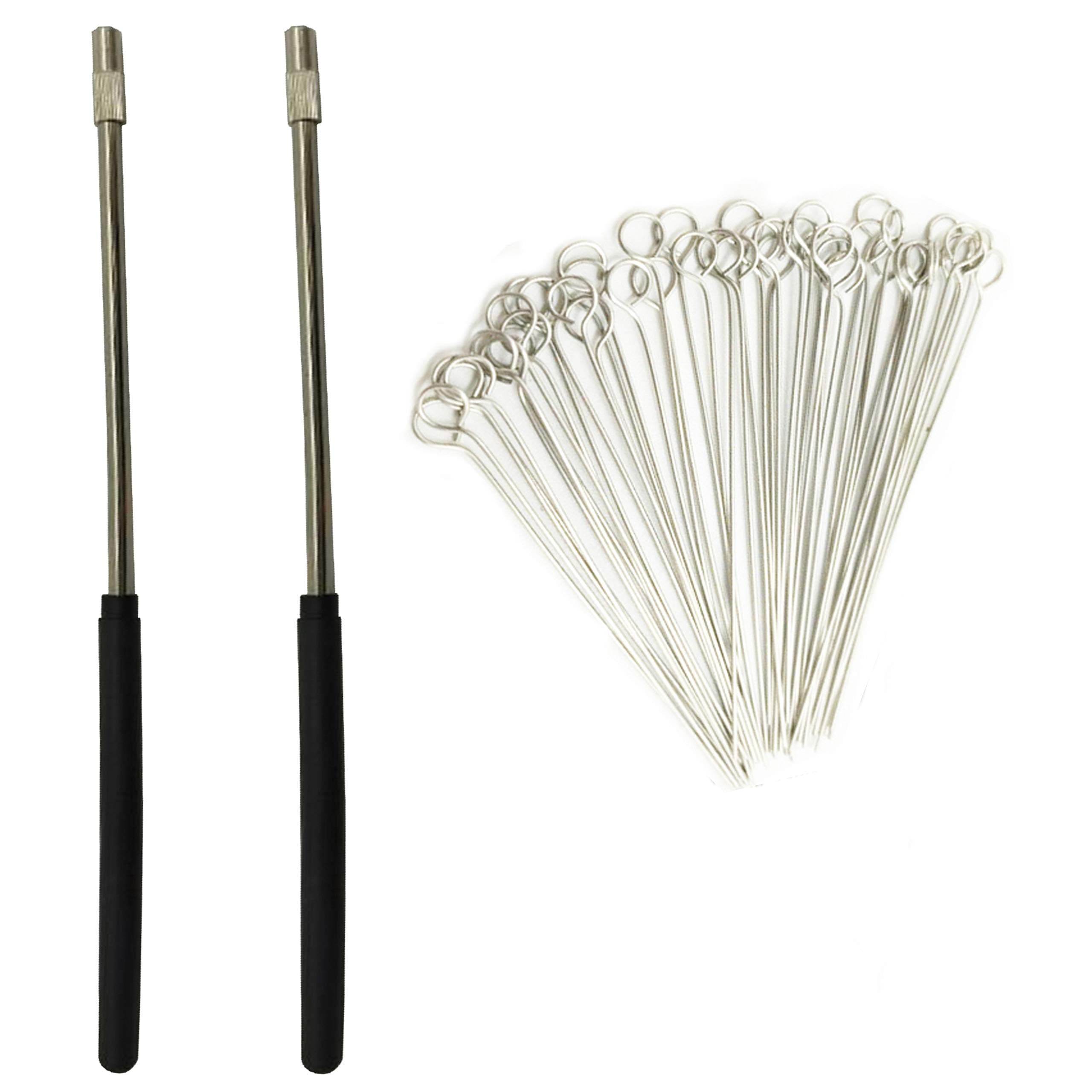 OESS 2 PCS Reusable Inoculating Loop Holders with 50pcs 10uL Nichrome Needle Tips Inoculation Loop for Bacterial Tissue Culture